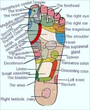 Cover of the book The Essential Beginners Guide To Acupressure by Mario Brown