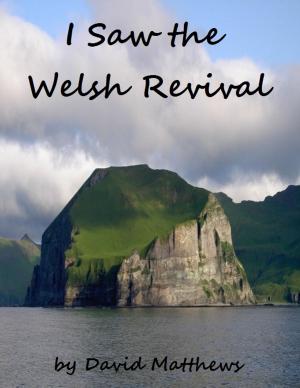 Cover of the book I Saw the Welsh Revival by Michael Lanphere