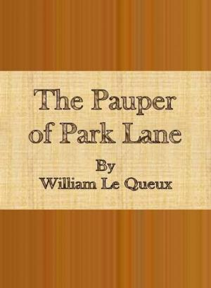 Cover of the book The Pauper of Park Lane by T. A. Coward