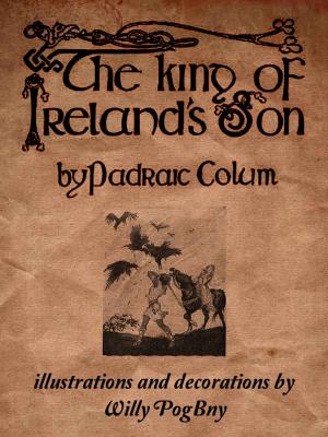 Cover of the book The King Of Irelands Son by K. Lang-Slattery