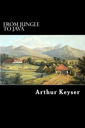 Cover of the book From Jungle to Java by Frederick Marryat