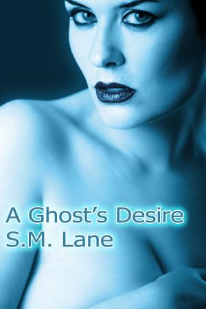 bigCover of the book A Ghost's Desire (A Paranormal Romance) by 
