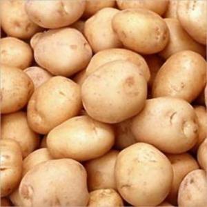 Cover of A Crash Course on How to Grow Potatoes