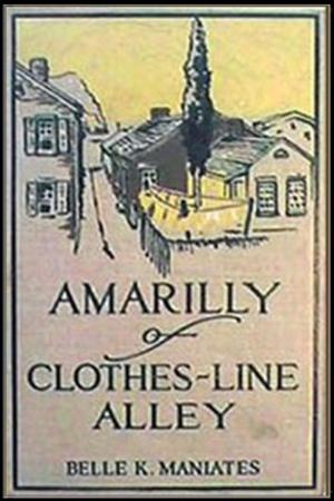 Cover of the book Amarilly of Clothes-Line Alley by Henry Seward Hubbard