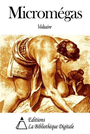 Cover of the book Micromégas by Joseph Héliodore Sagesse Vertu Garcin de Tassy