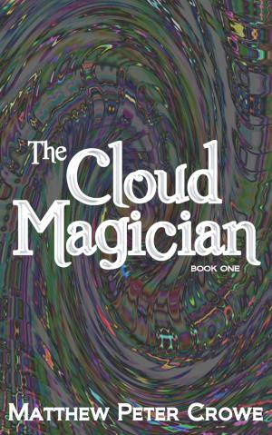 Cover of the book The Cloud Magician - Book One by Felicia Elizabeth
