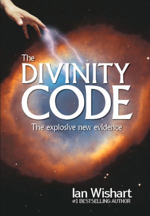 Book cover of The Divinity Code