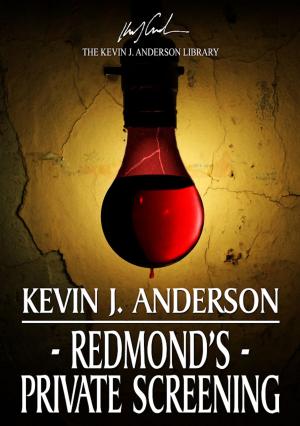 Cover of the book Redmond's Private Screening by Jamie Heppner
