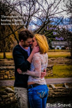 Cover of the book Love is Safe by Morgan Jane Mitchell