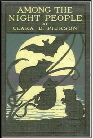 Book cover of Among the Night People