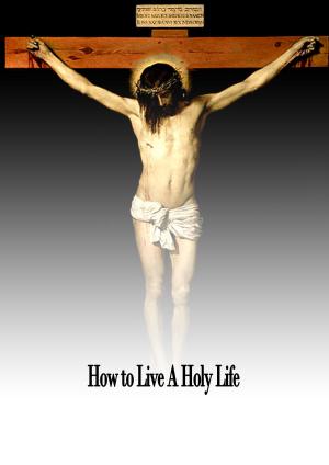 Cover of the book How to Live A Holy Life by Zhingoora Bible Series