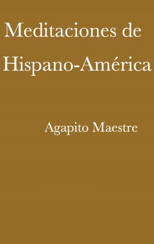 Cover of the book Meditaciones de Hispano-América by Robert Burleigh