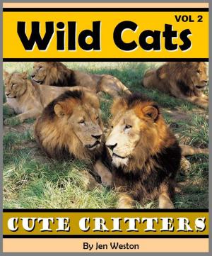 Cover of the book Wild Cats - Volume 2 by Anthony Sparisci