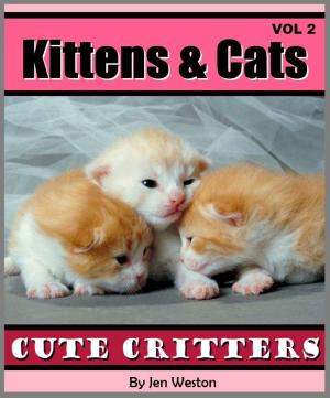 Cover of the book Kittens & Cats - Volume 2 by Jen Weston