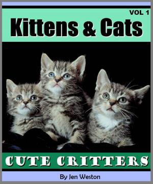 Cover of the book Kittens & Cats - Volume 1 by Chris DiPaolo