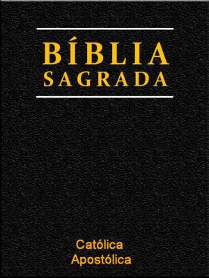 Cover of the book Bíblia Sagrada Protestante by Allan Kardec