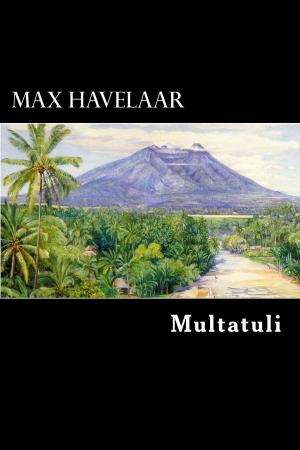 Cover of the book Max Havelaar by Robert H. Elliot