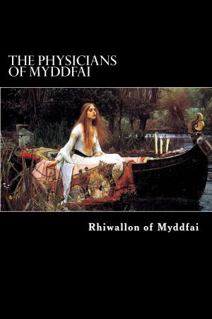 Cover of The Physicians of Myddfai