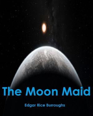 Book cover of The Moon Maid