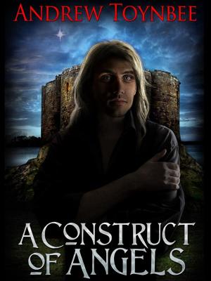 Cover of the book A Construct of Angels by Colleen Nye