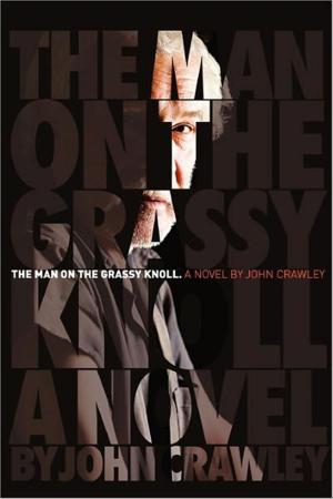 Cover of the book The Man on the Grassy Knoll by Ken Nelson