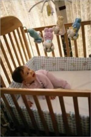 Cover of the book How to Build a Crib by Vanessa E. Kelman