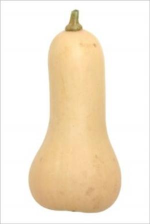 Cover of the book How to Grow Butternut Squash by Robert Carson