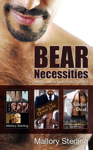 Cover of the book Bear Necessities - Hardcore Homoerotic Stories by JK Ensley
