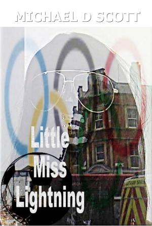 Book cover of Little Miss Lightning