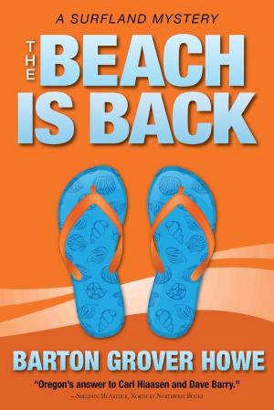 Cover of the book The Beach is Back by John Hickman