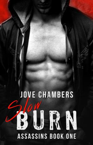 Cover of the book Slow Burn by Jove Chambers