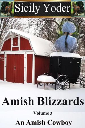 Book cover of Amish Blizzards: Volume Three: An Amish Cowboy