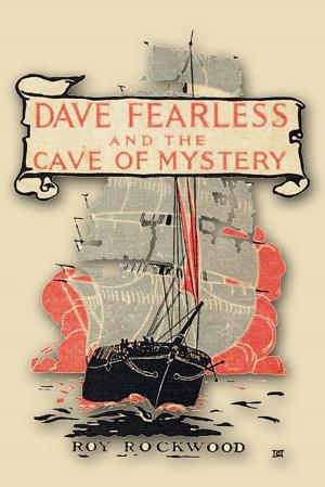 Cover of DAVE FEARLESS AND THE CAVE OF MYSTERY