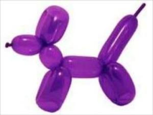 Book cover of A Beginners Guide To Making Balloon Animals and Balloon Twisting