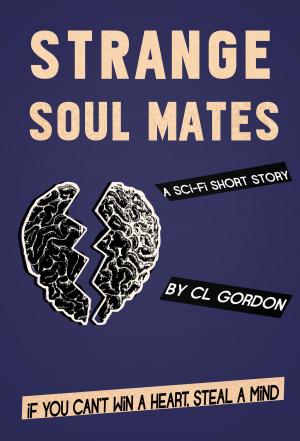 Cover of the book Strange Soul Mates by R K Athey