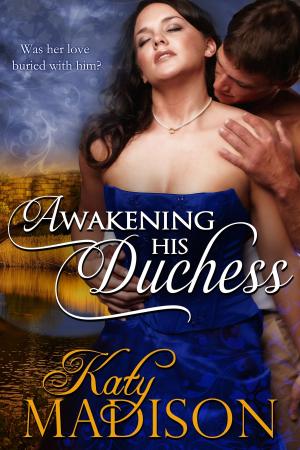 Cover of the book Awakening His Duchess by VL McBeath