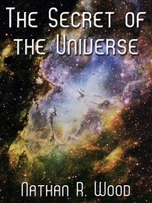 Book cover of The Secret Of The Universe