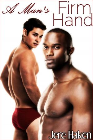Cover of the book A Man's Firm Hand by Lily Pearce