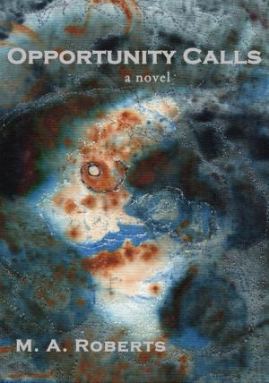 Cover of the book Opportunity Calls by Tamara Hunter