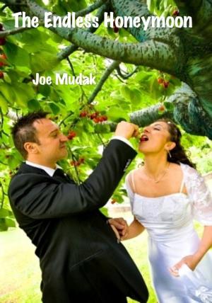 Cover of the book The Endless Honeymoon by Joe Mudak