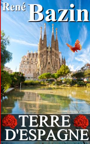Cover of TERRE D'ESPAGNE
