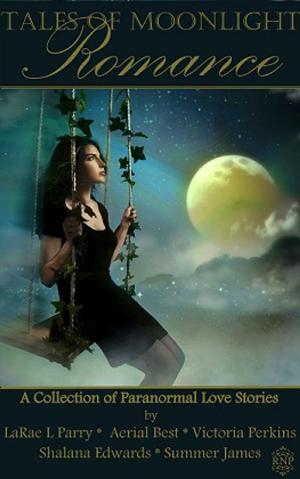 Cover of the book Tales of Moonlight Romance by Dawn Marie Hamilton