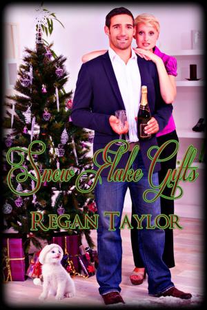 Cover of the book Snow Flake Gifts by Julie Lynn Hayes, S.L. Danielson