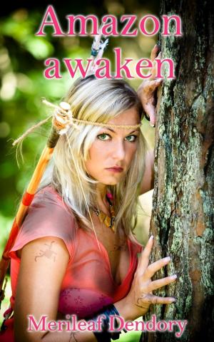 Cover of the book Amazon awaken by Elizabeth Morgan