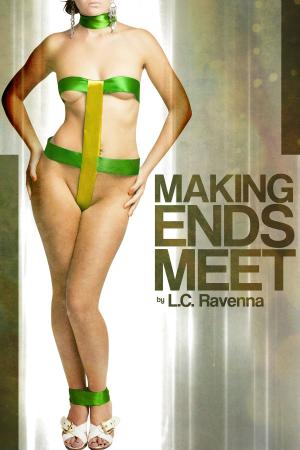 Cover of the book Making Ends Meet by Jessica Lansdown