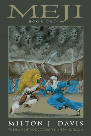 Cover of the book Meji Book Two by Milton Davis, Balogun Ojetade, Valjeanne Jeffers