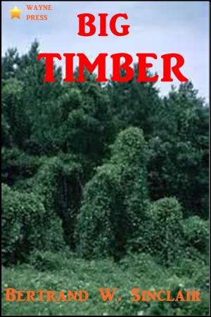 Cover of the book Big Timber by William Macleod Raine