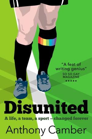 Cover of the book Disunited by P. J. Pottes