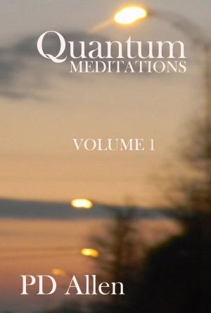 Cover of Quantum Meditations; Book One