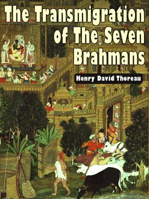 Cover of the book The Transmigration Of The Seven Brahmans by Rutherford H. Platt, 